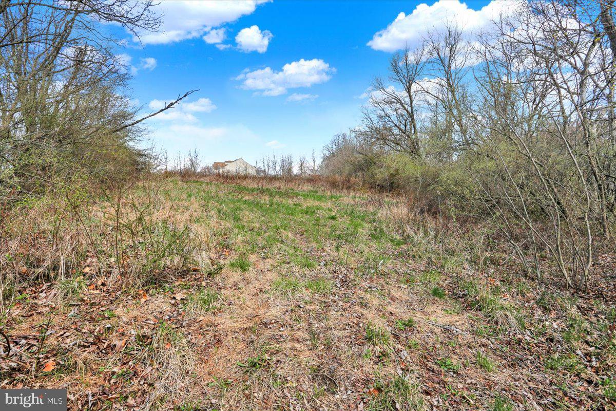 890-lot 4 Long Property Photo 5