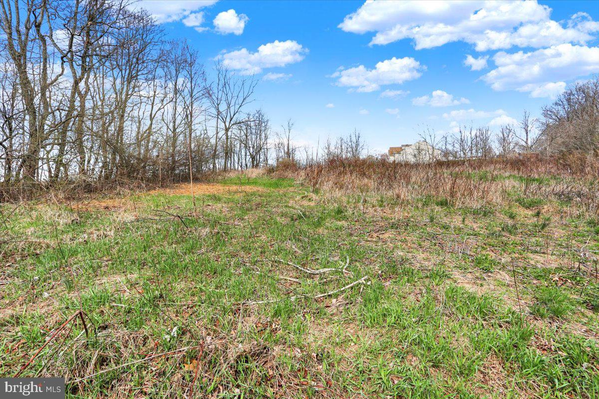 890-lot 4 Long Property Photo 6