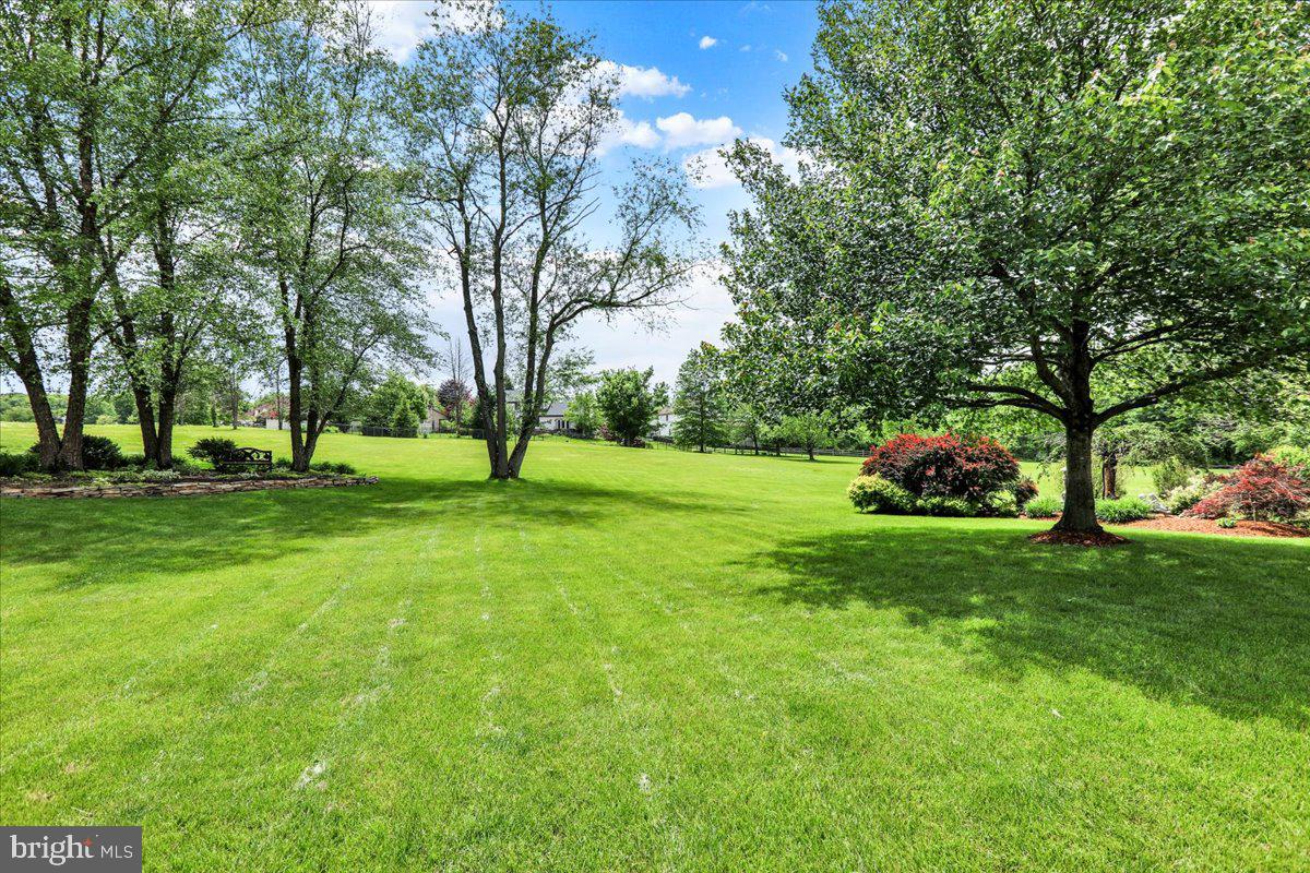 356 Chalet Dr Property Photo 44