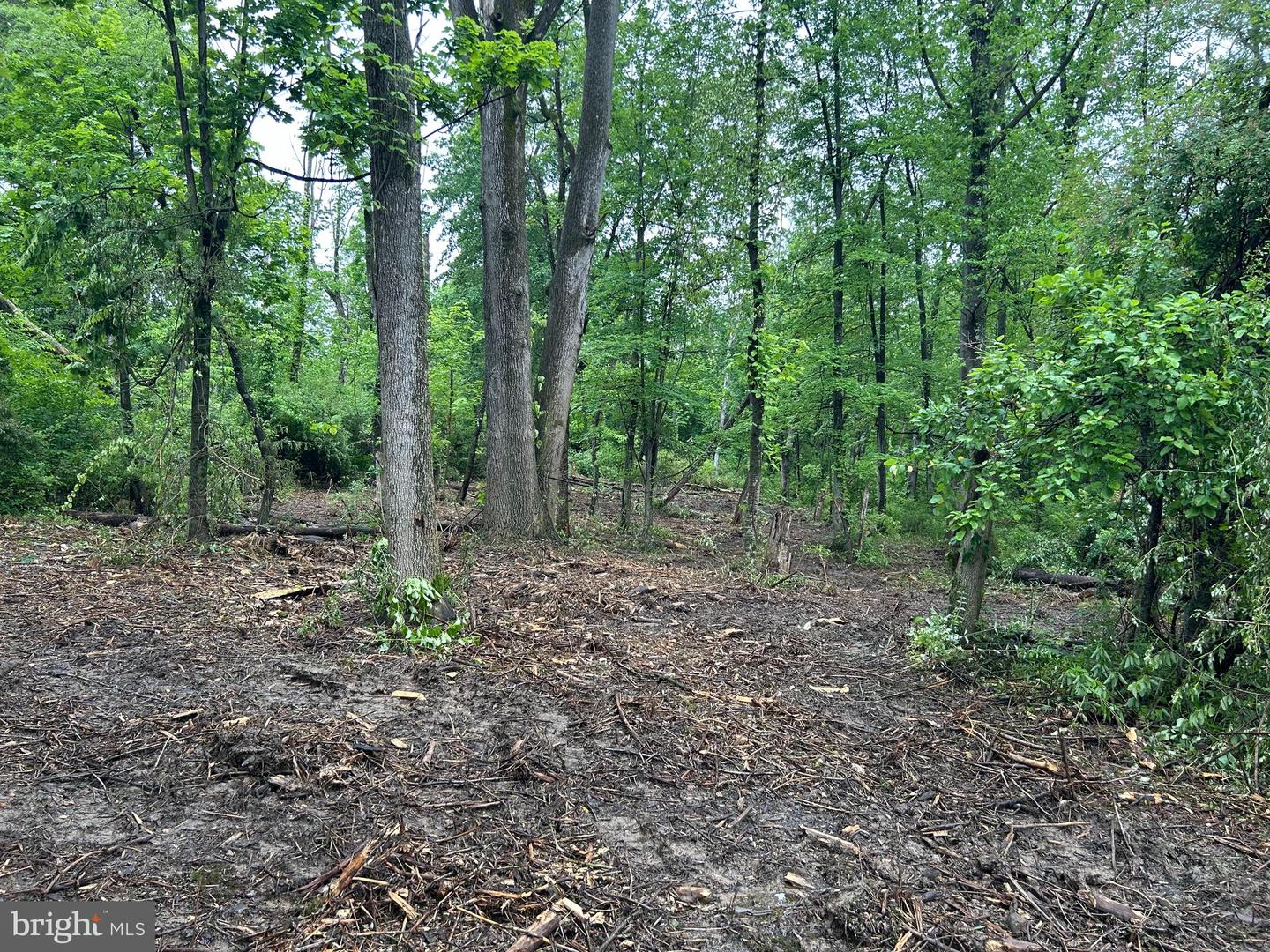 0 Oak Lane Property Photo 1