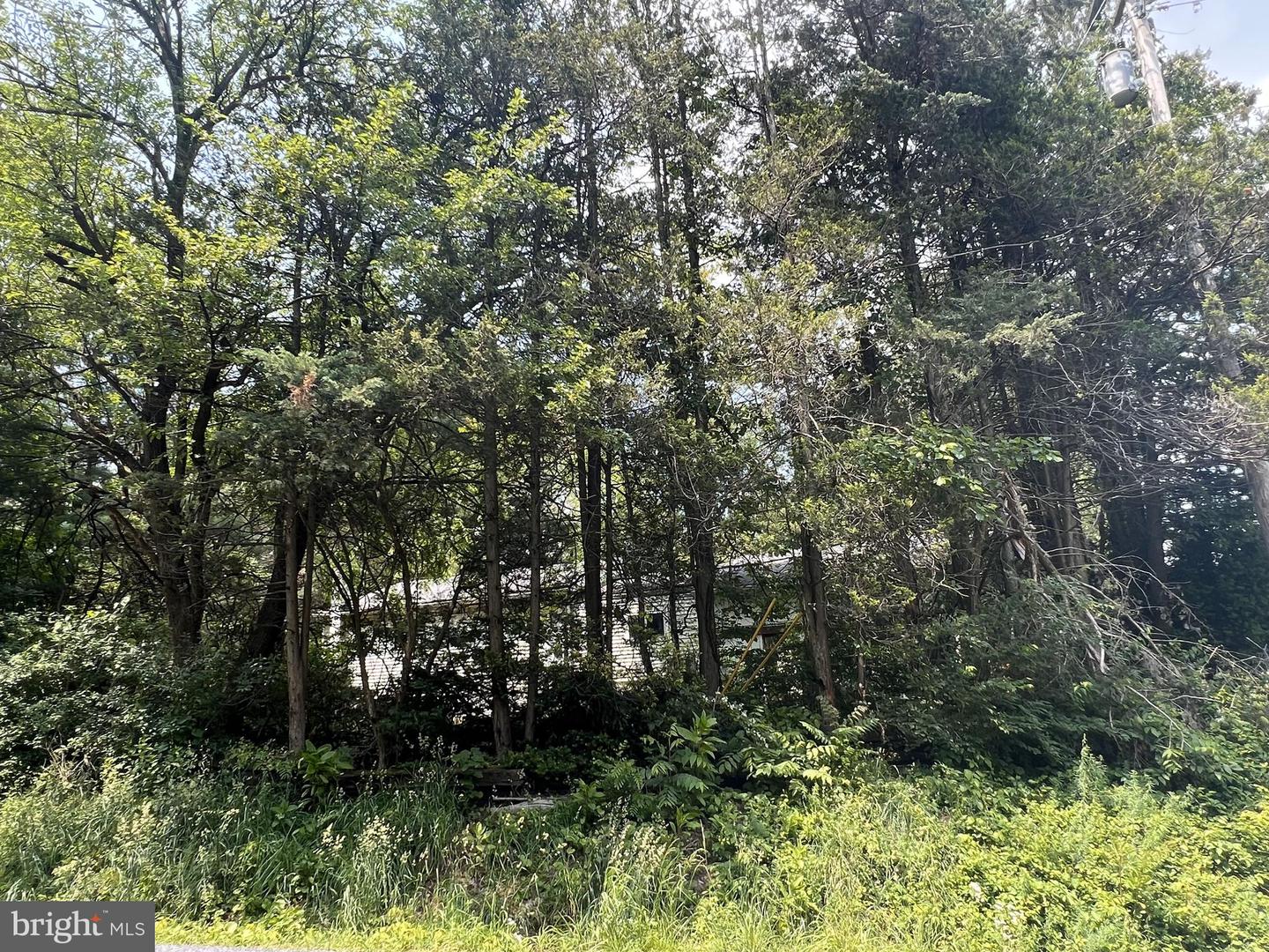 4 Degler Ln Property Photo 17