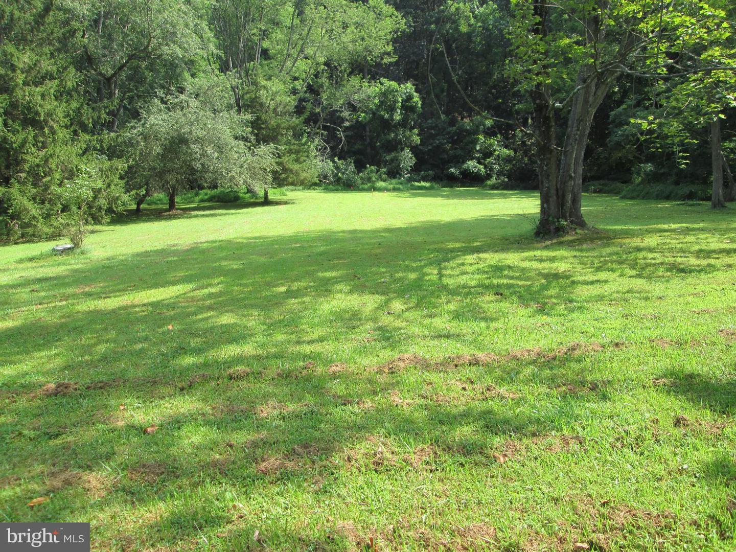 0 Woodchoppertwn Rd Property Photo 1