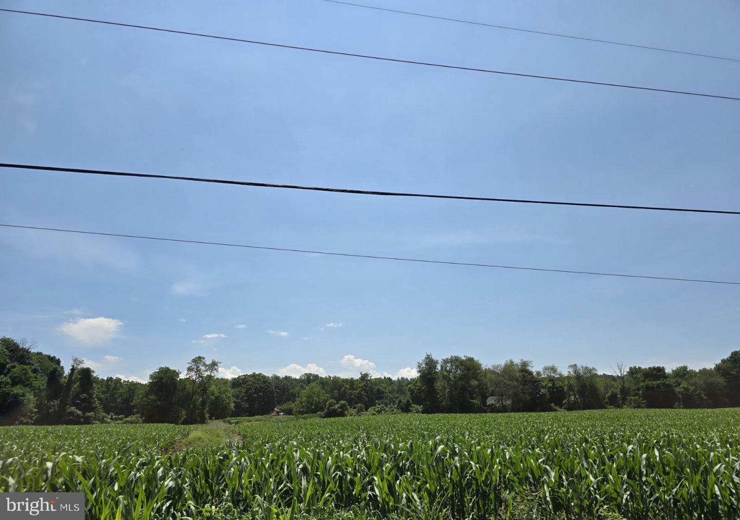 Chestnut Property Photo 1