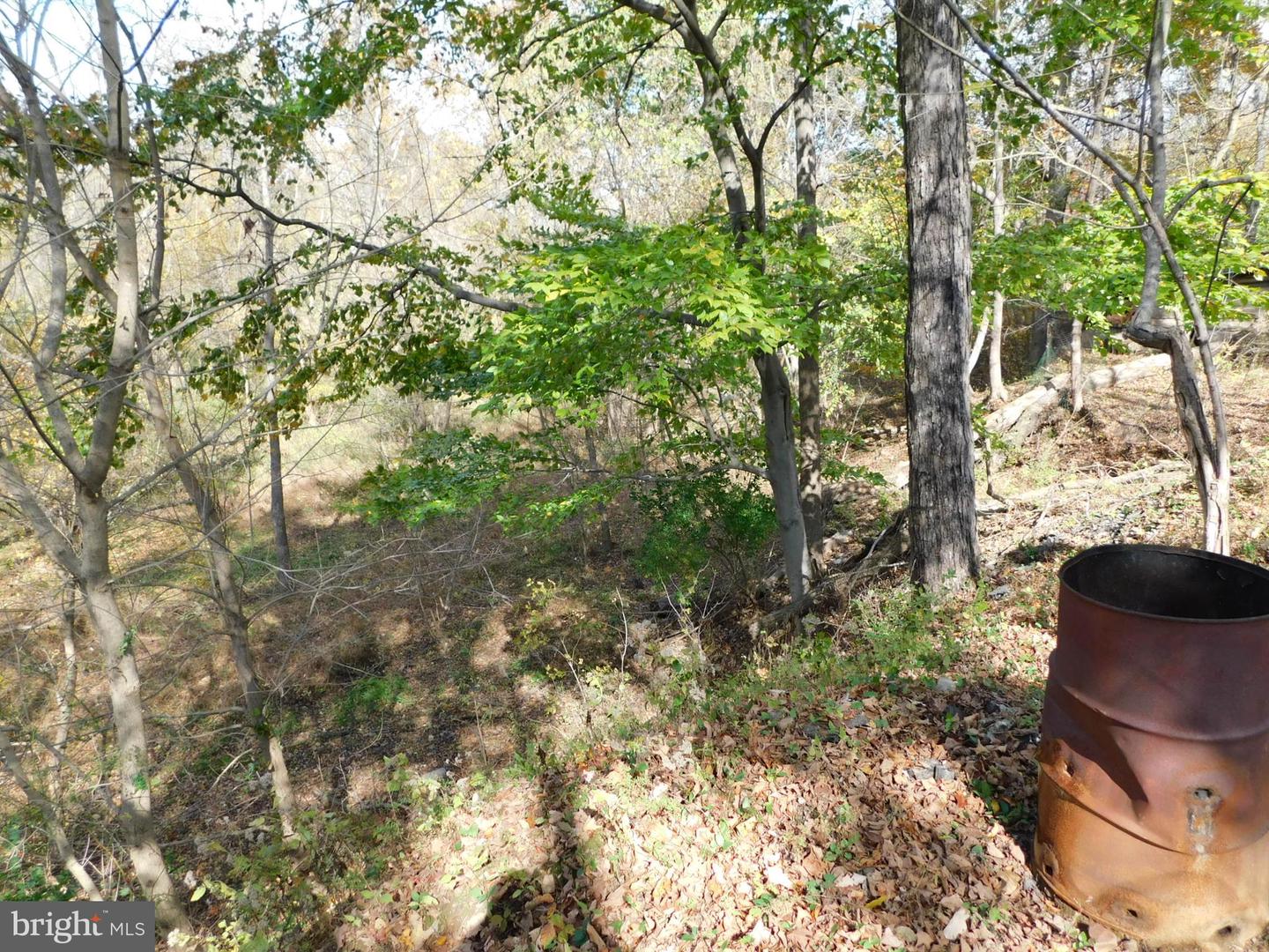 720 Hall Ave Property Photo 11