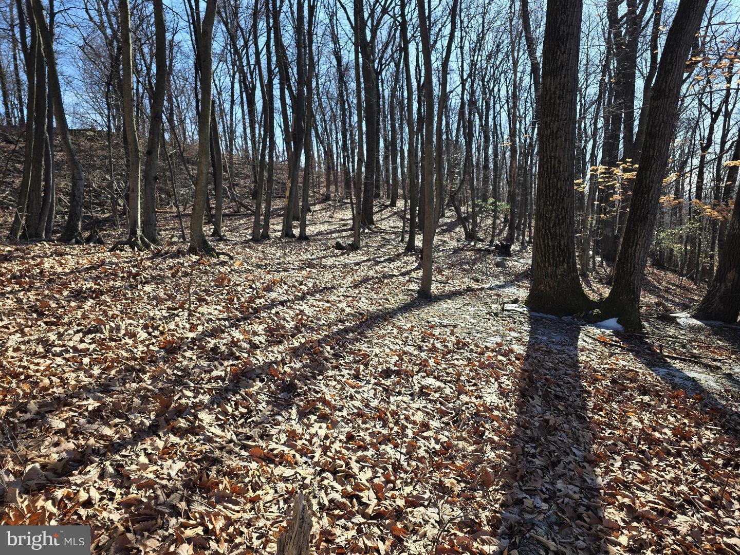 0 Hill Rd Property Photo 13