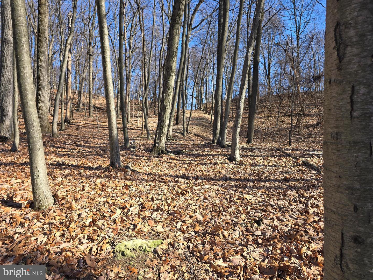 0 Hill Rd Property Photo 15