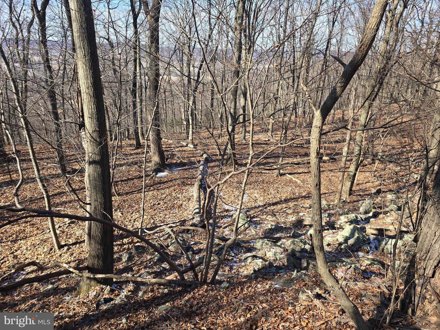 0 Hill Rd Property Photo 17