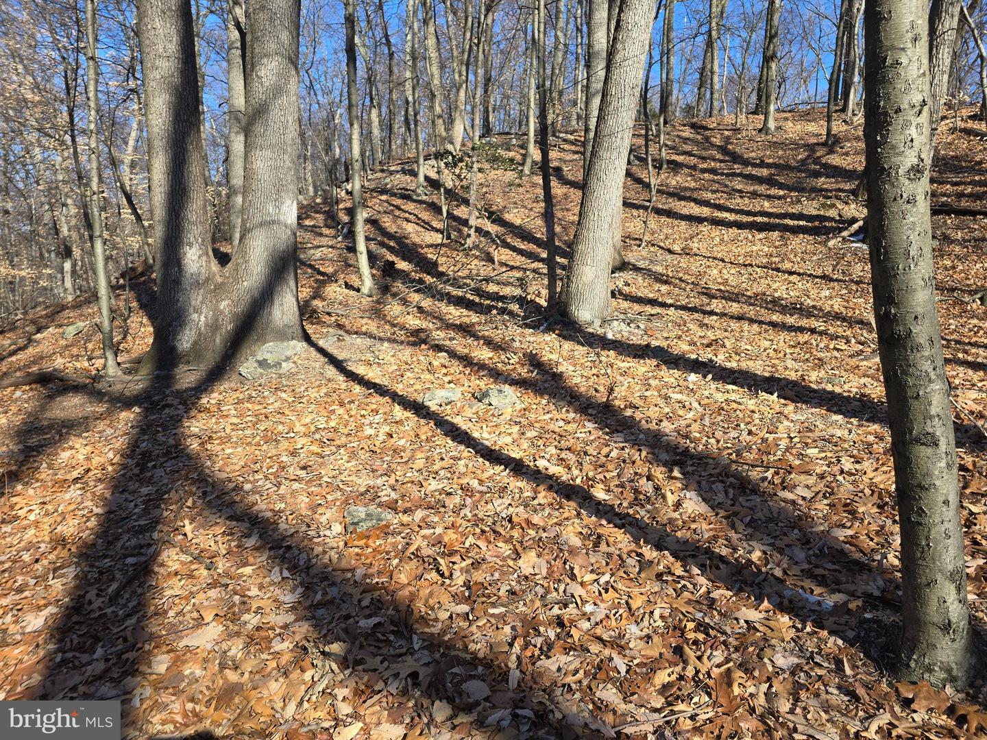 0 Hill Rd Property Photo 21