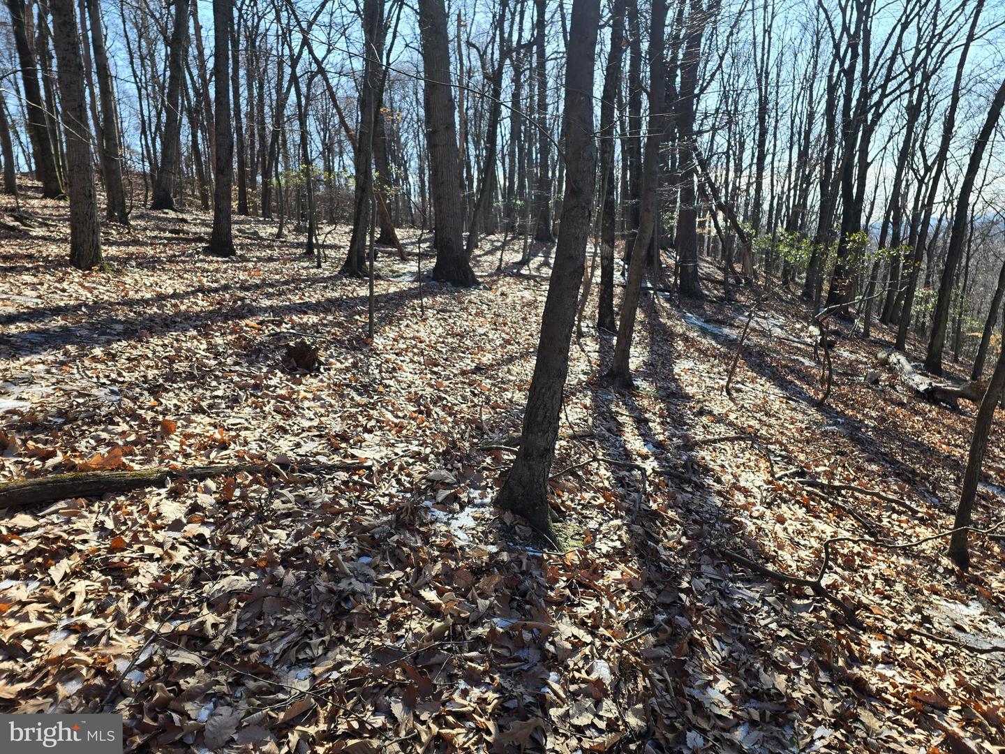 0 Hill Rd Property Photo 25