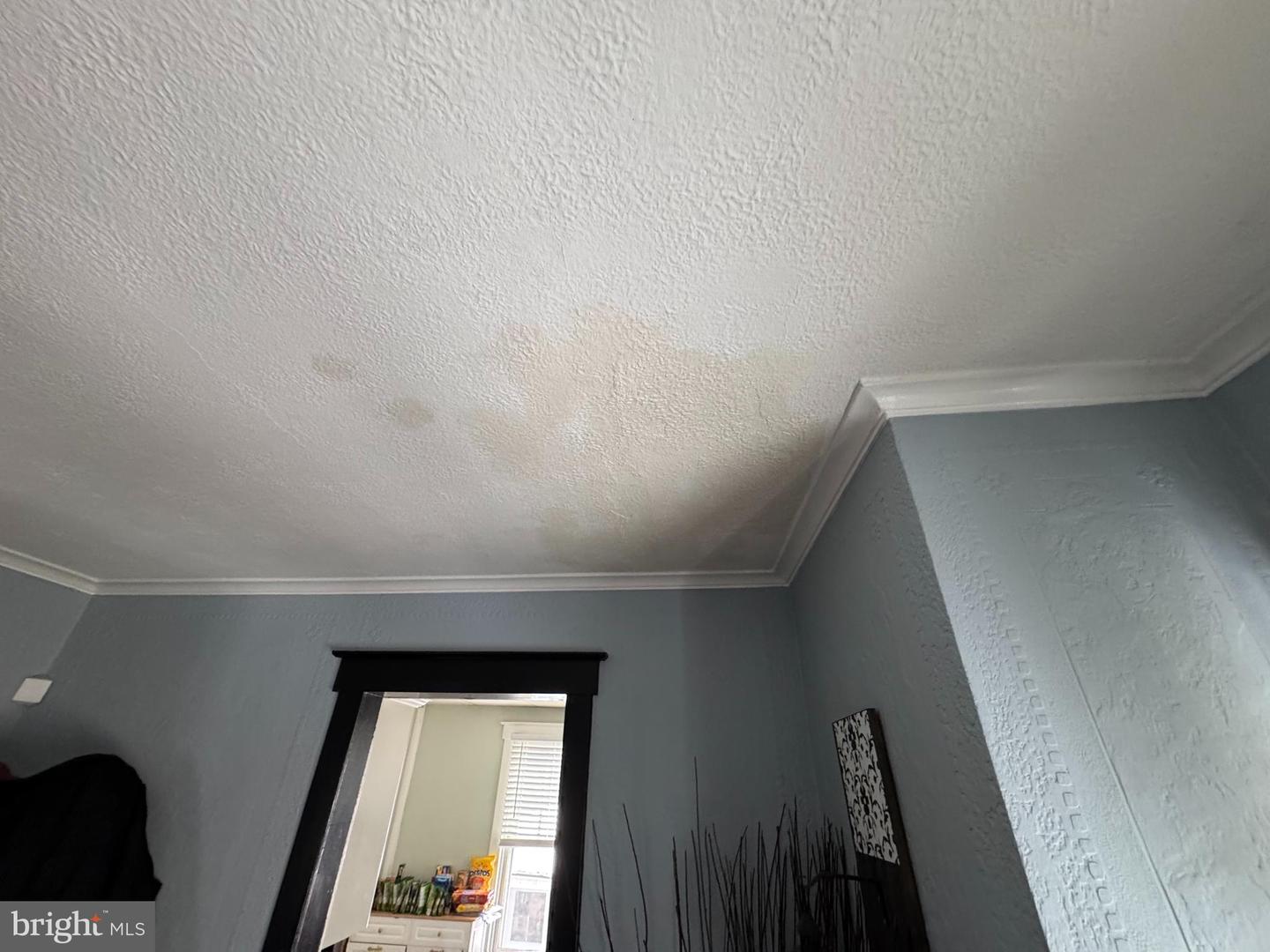 405 Carsonia Ave Property Photo 8