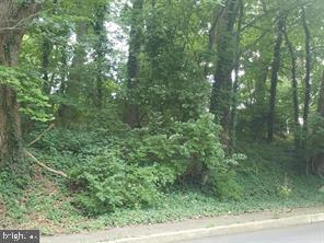 127 Woodland Rd Property Photo 3