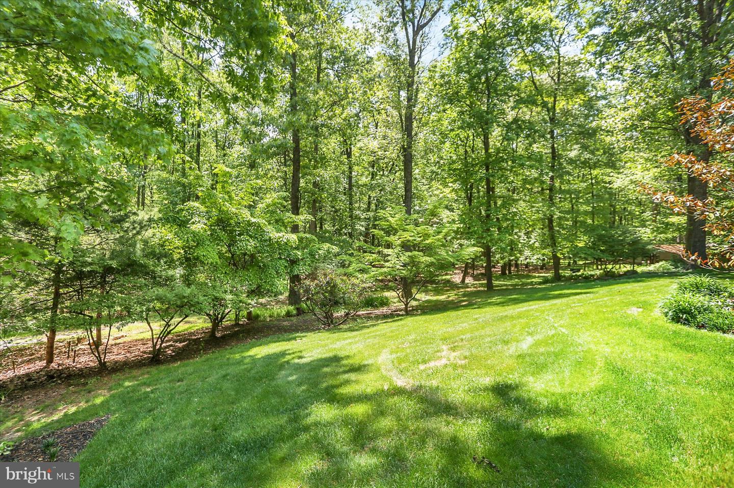 1575 Pine Grove Rd Property Photo 53
