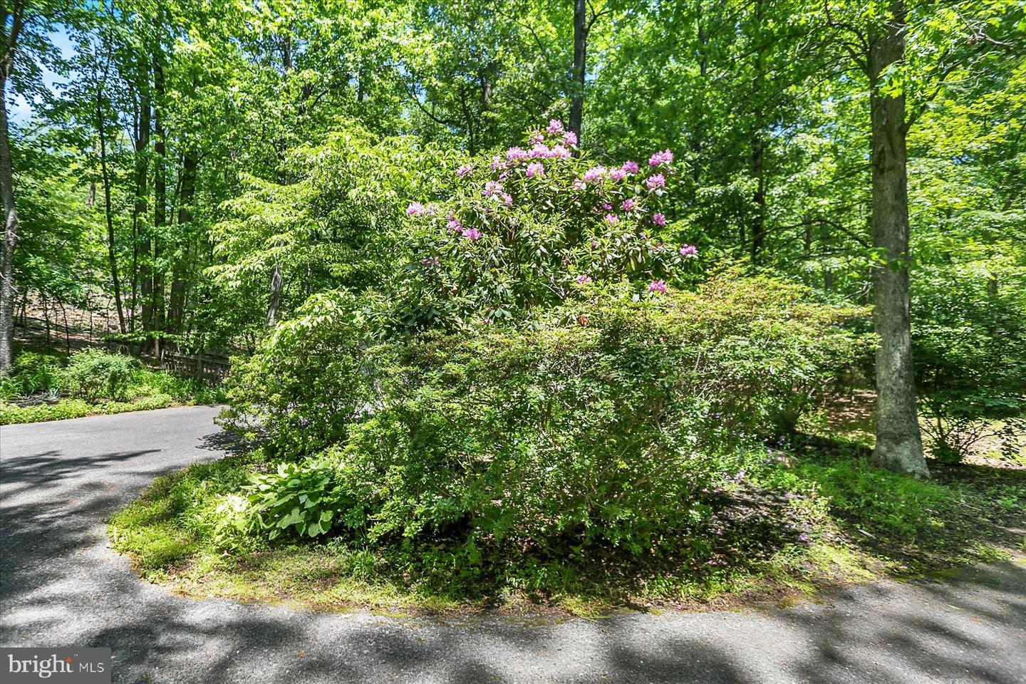 1575 Pine Grove Rd Property Photo 55