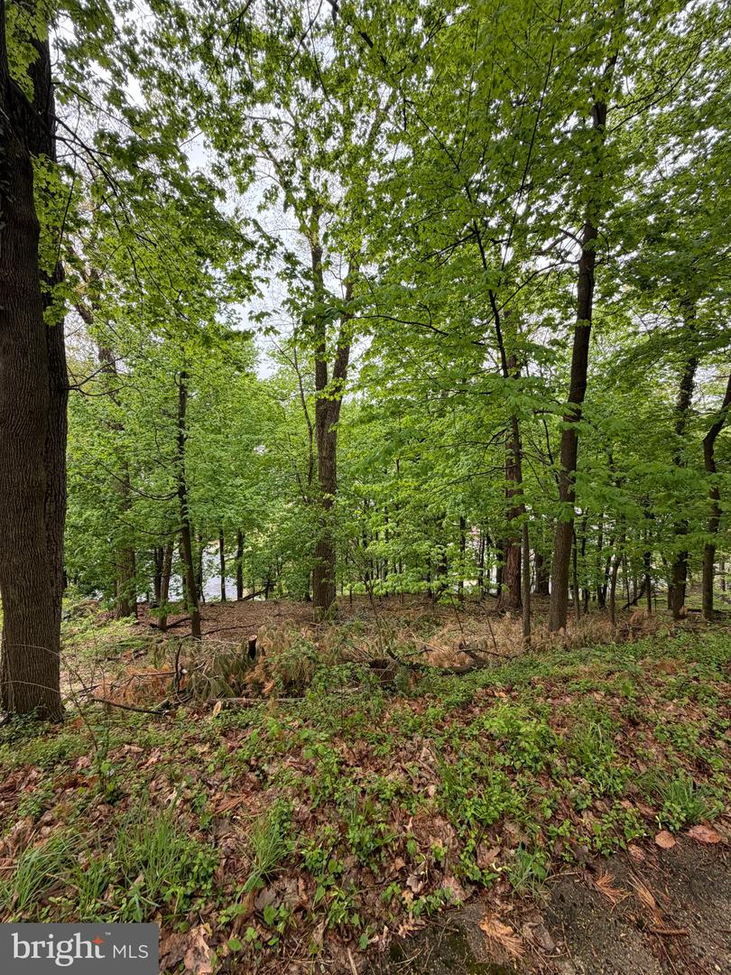 1707 MINERAL SPRING RD