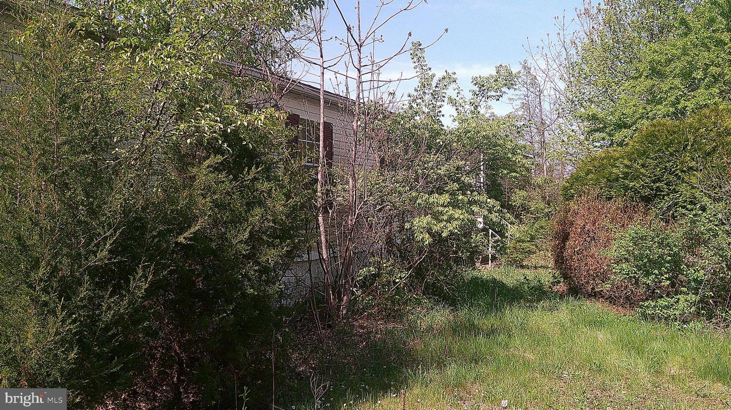 198 Oak Ln Property Photo 10