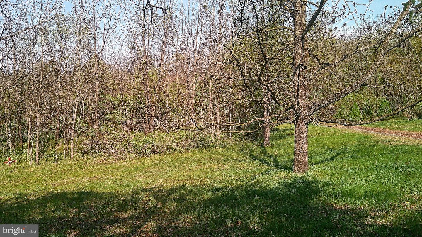 198 Oak Ln Property Photo 12