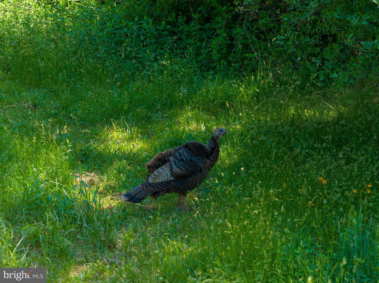 1421 Coldsprings Rd Property Photo 29