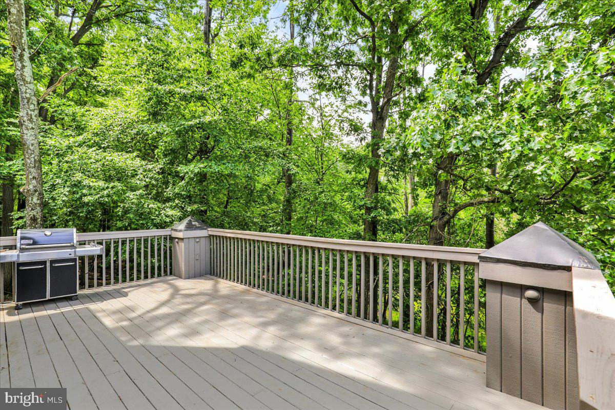 8 Wyndham Hill Dr Property Photo 76