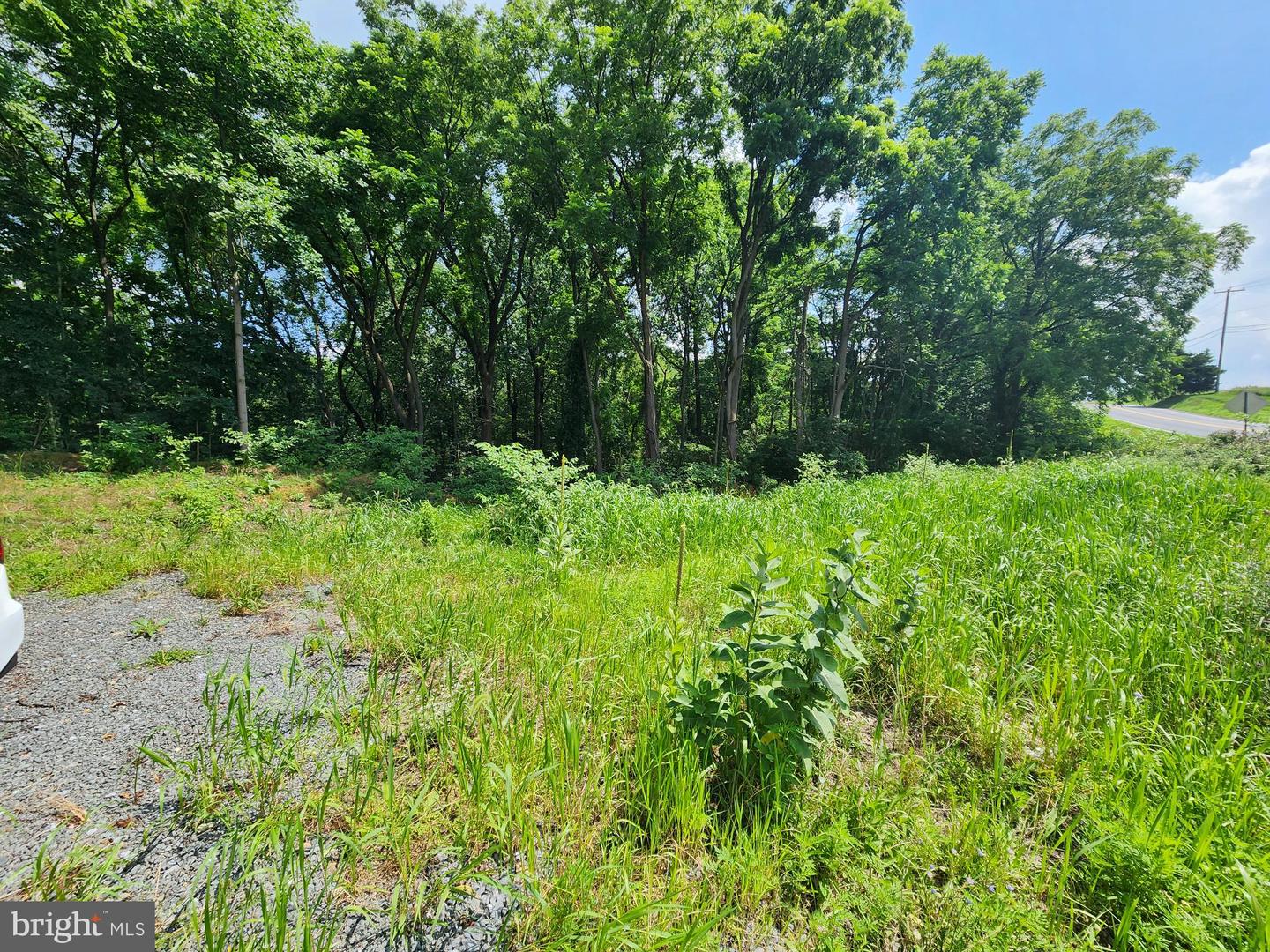 0 Brownsville Property Photo 3