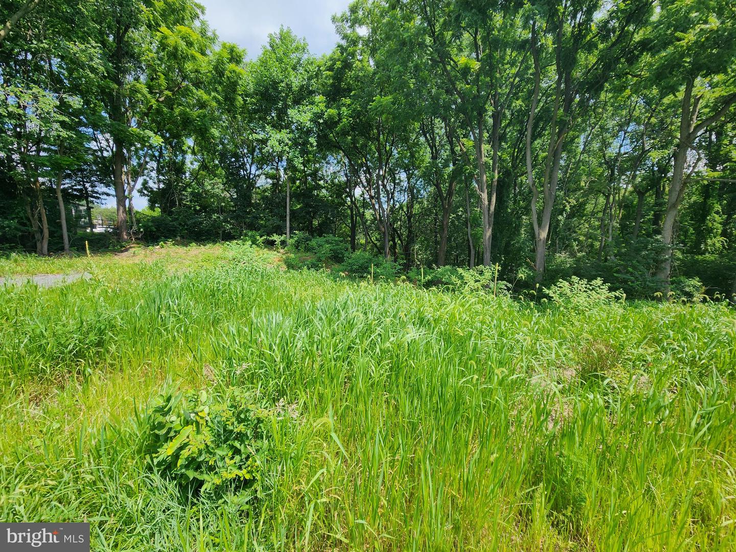 0 Brownsville Property Photo 4