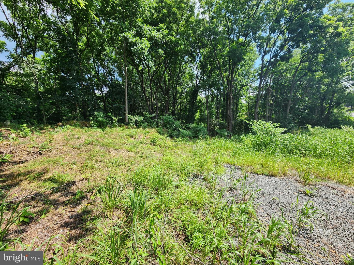 0 Brownsville Property Photo 5