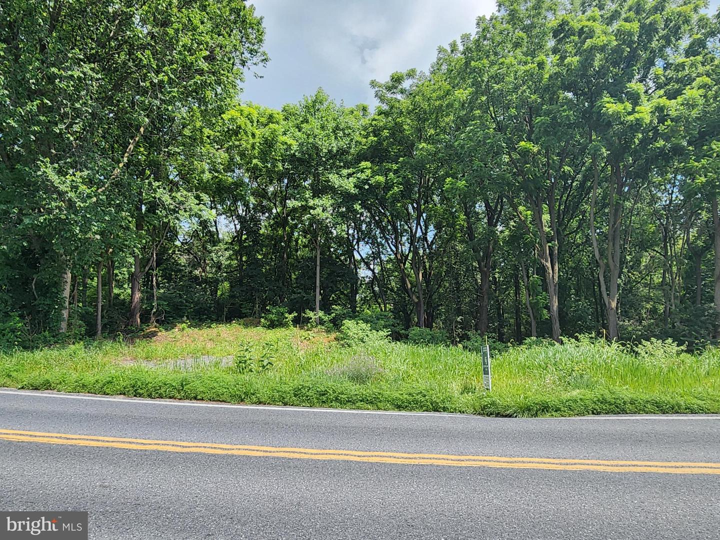 0 Brownsville Property Photo 6