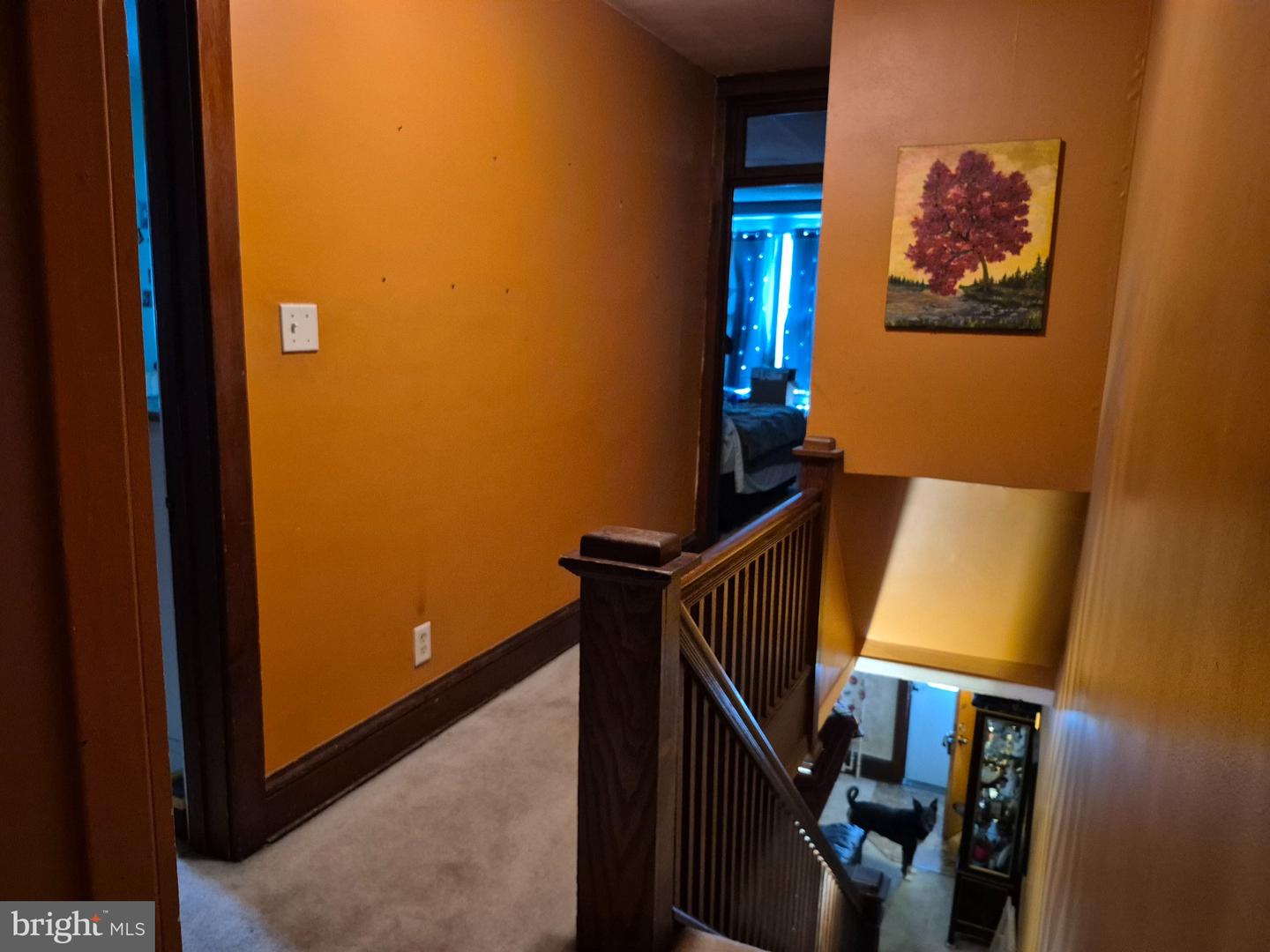 300 E Walnut St Property Photo 12