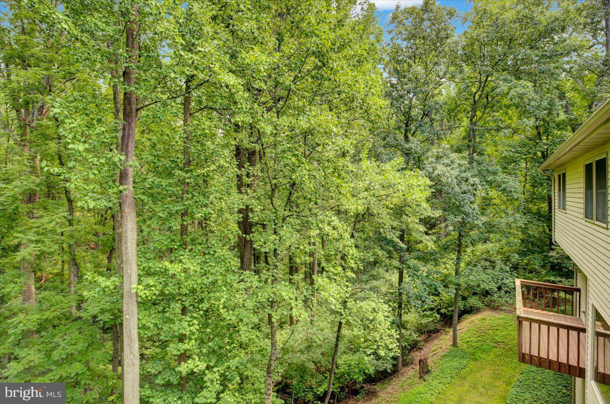 4 Quail Ridge Dr Property Photo 87