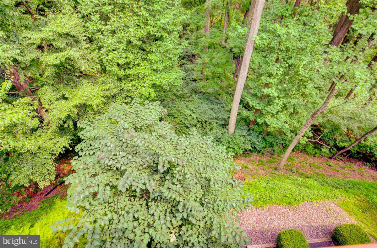 4 Quail Ridge Dr Property Photo 88