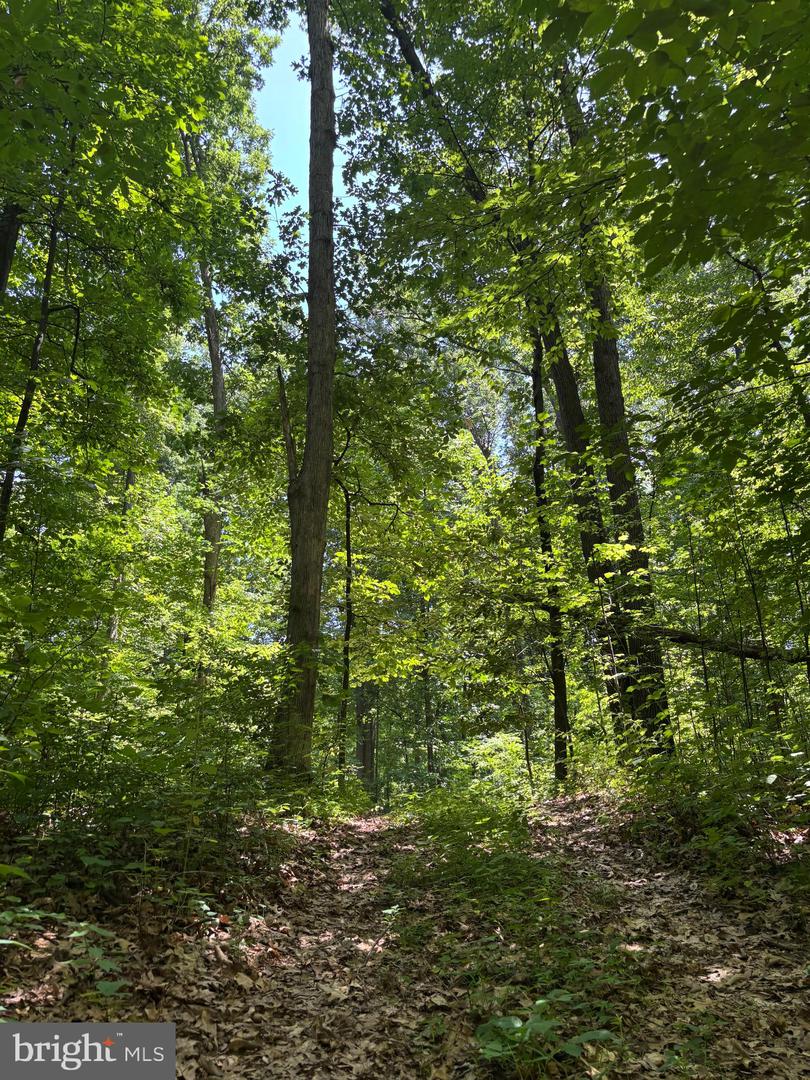 Tower Rd Property Photo 7