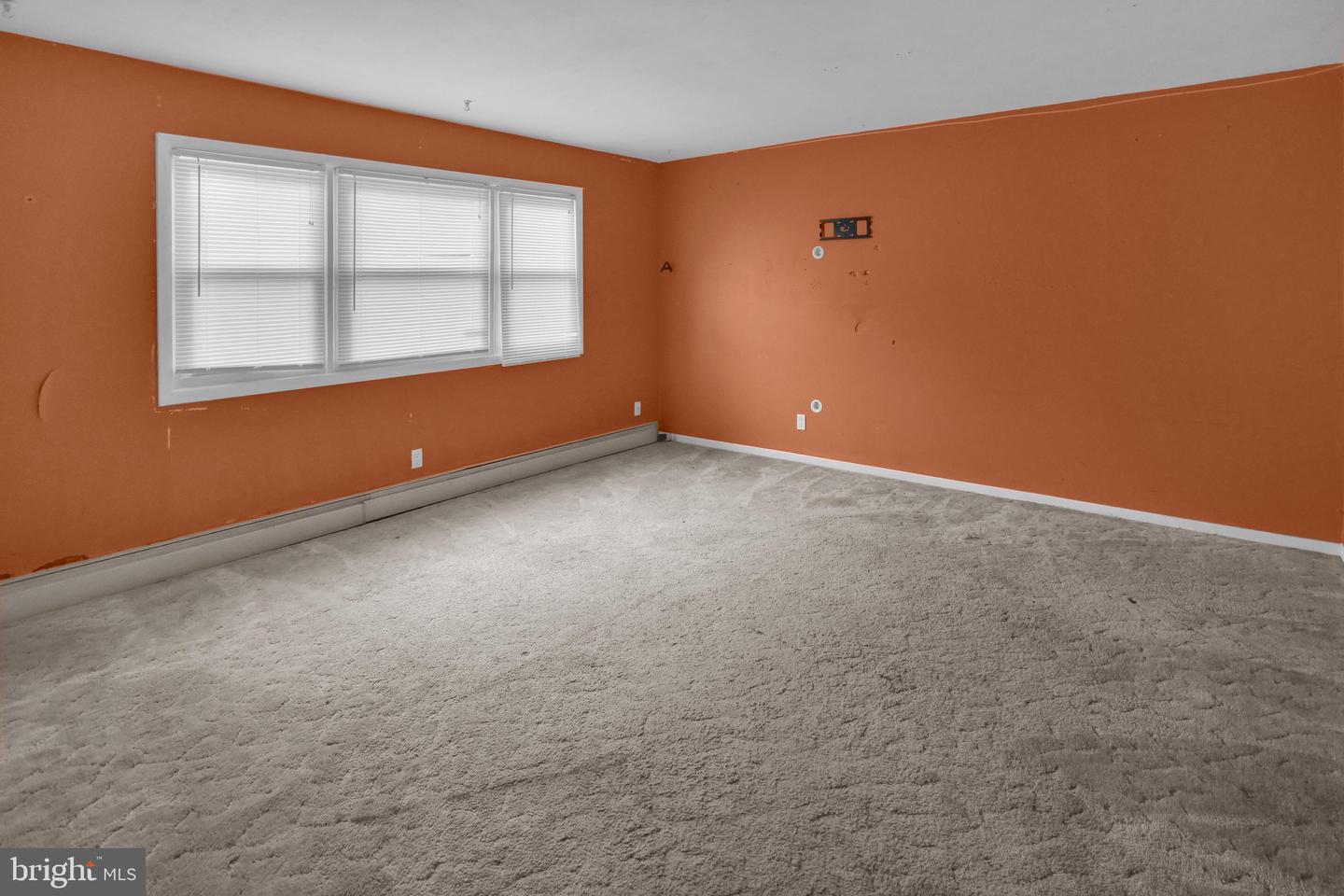 537 Marshall Ave Property Photo 30