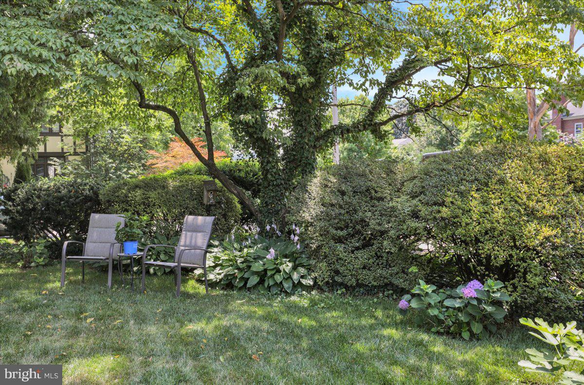 2503 Prospect St Property Photo 6