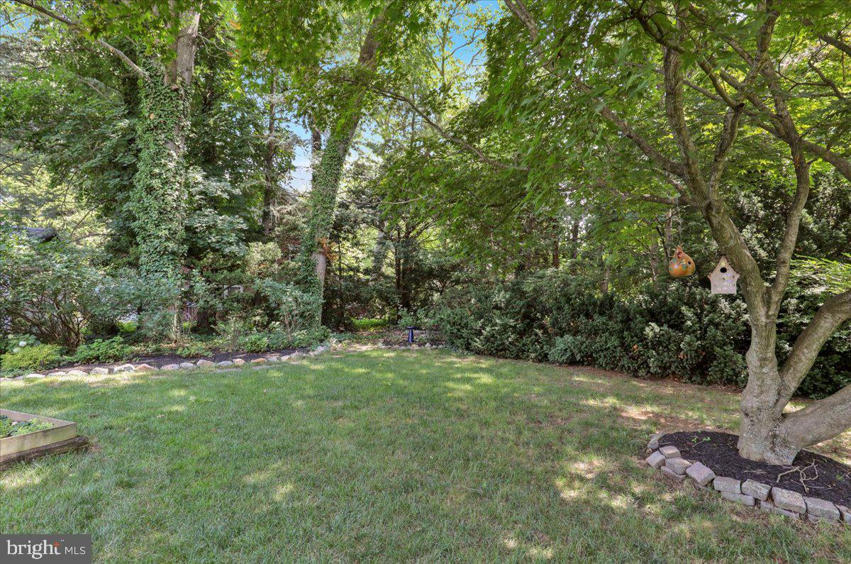 2503 Prospect St Property Photo 8