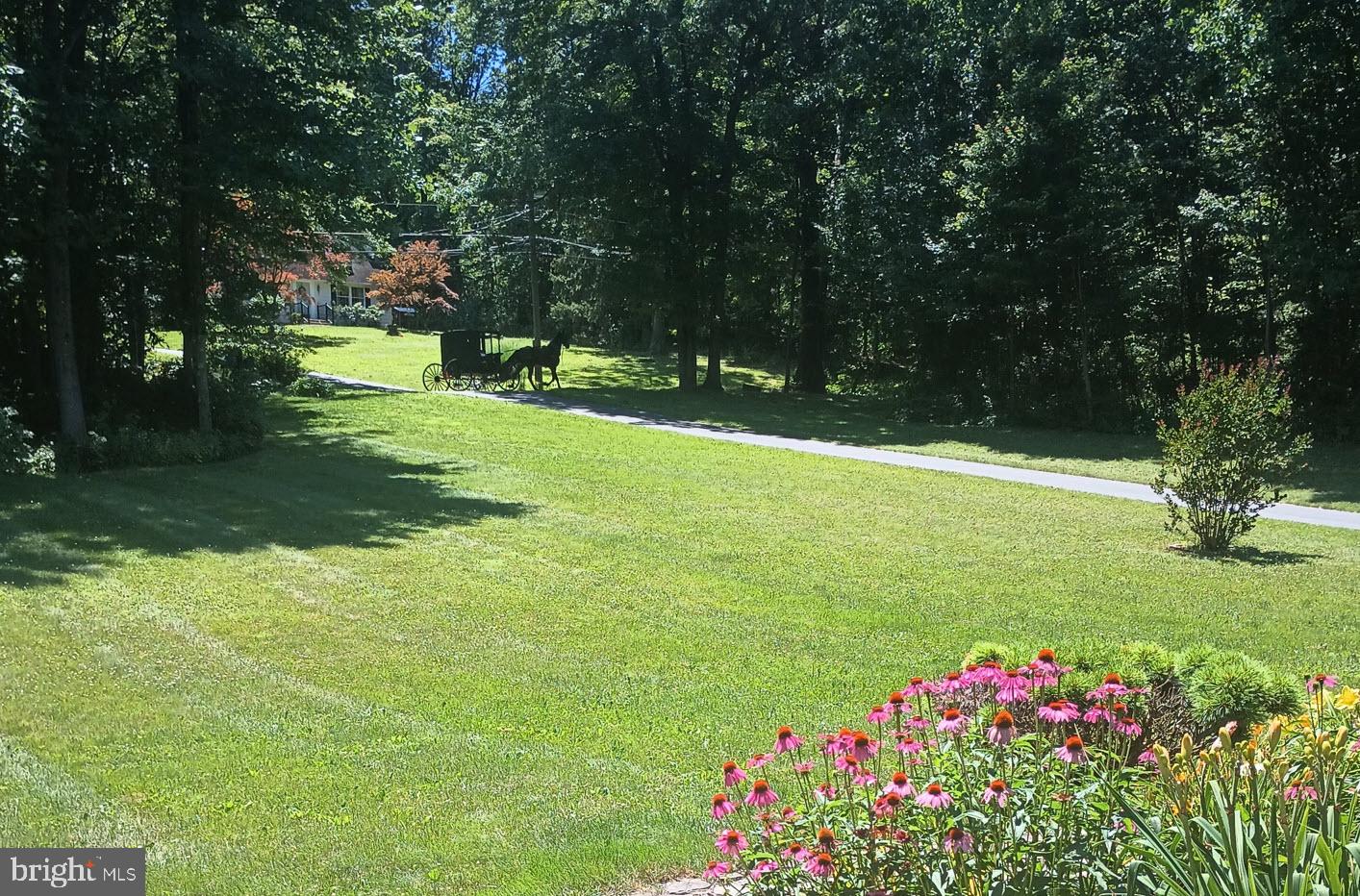 425 Swamp Rd Property Photo 8