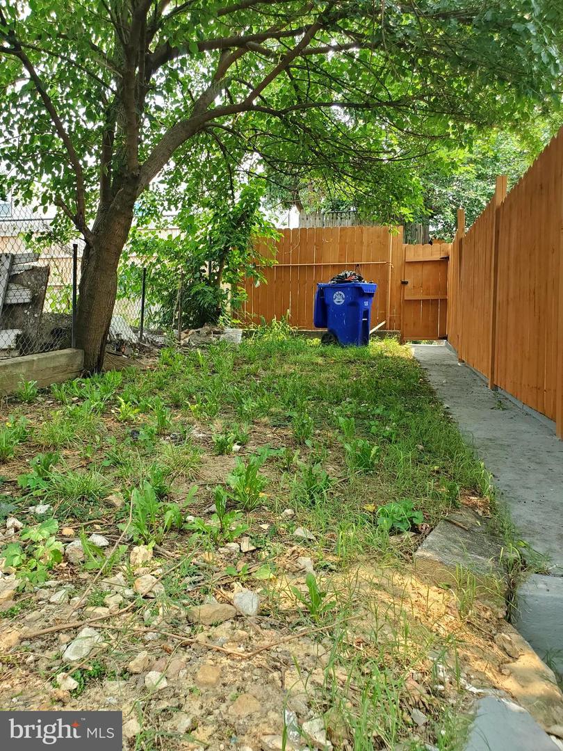 813 Locust St Property Photo 23