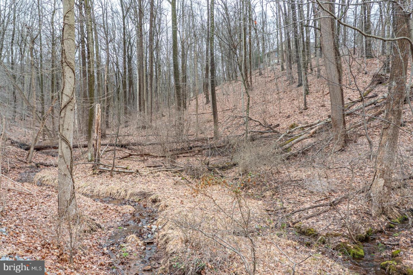 10 Hidden Pond Dr Property Photo 1