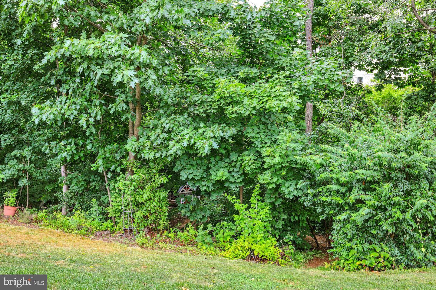 12 Thistle Ct Property Photo 47