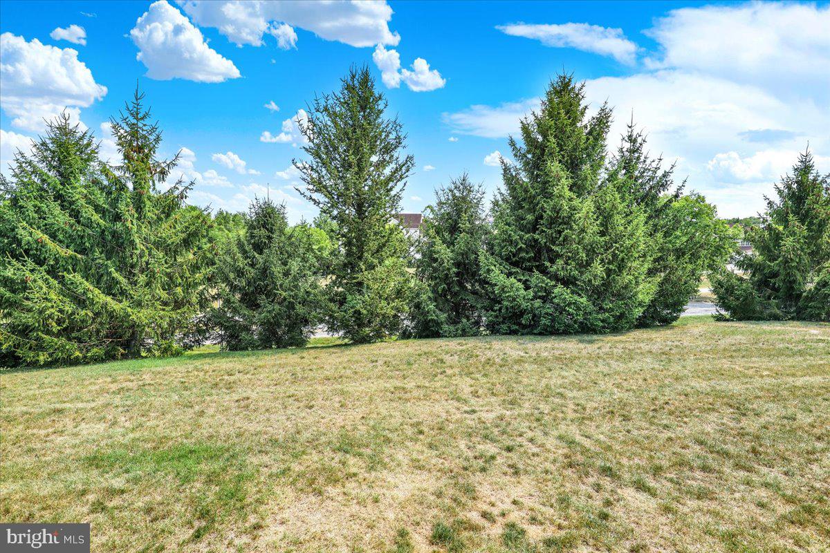 25 Whitepine Gulch Property Photo 34