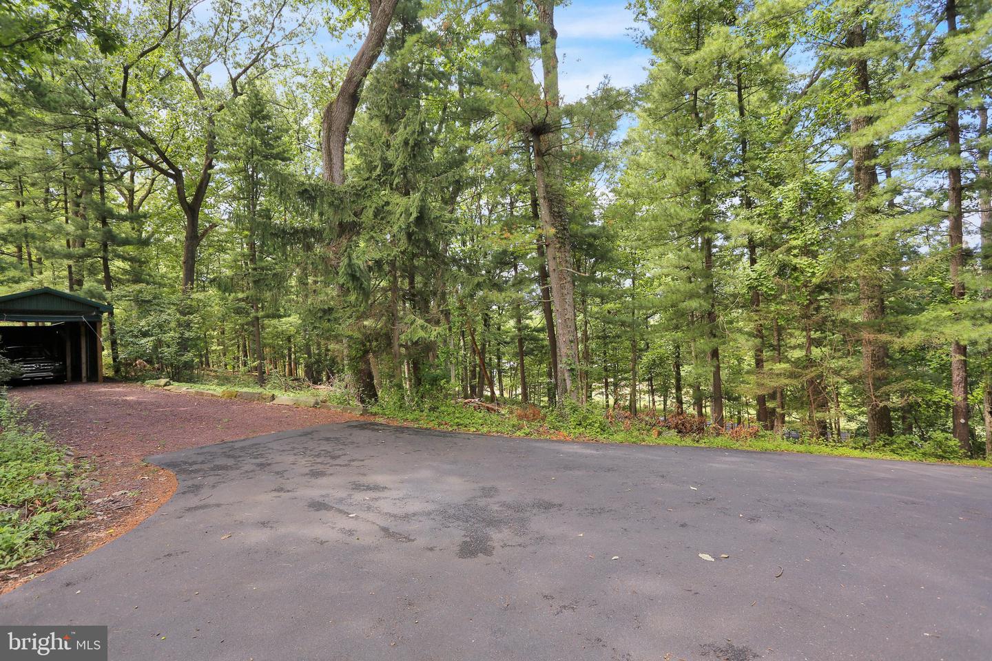 459 Mount Penn Rd Property Photo 68