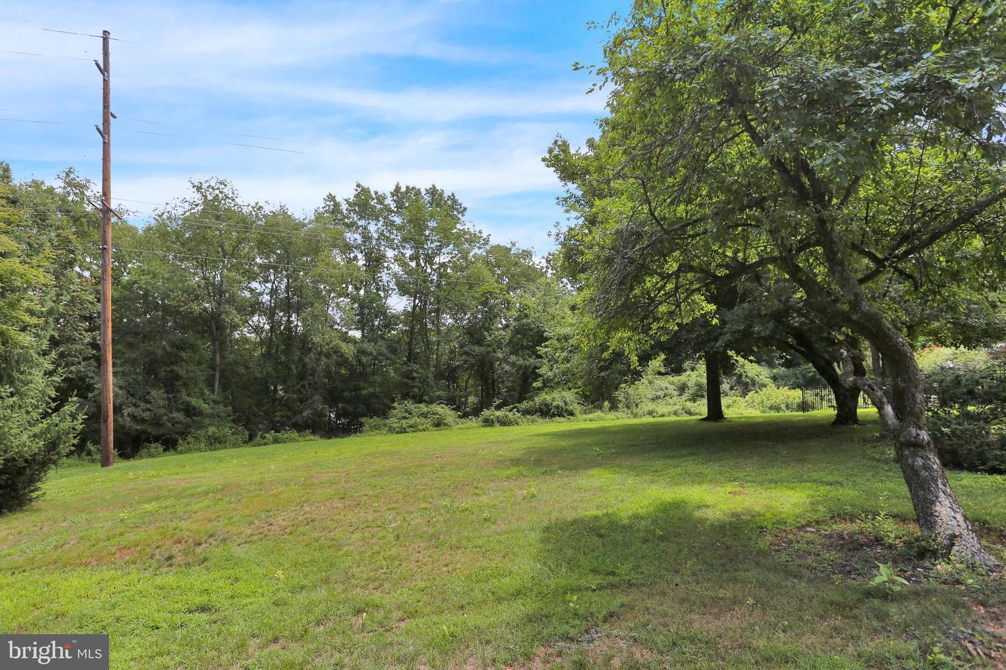 459 Mount Penn Rd Property Photo 69