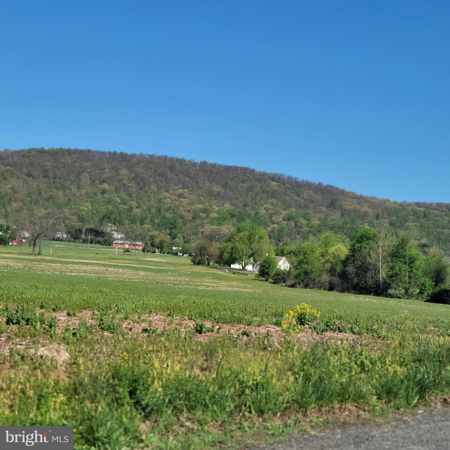 7931 BOYERTOWN PIKE