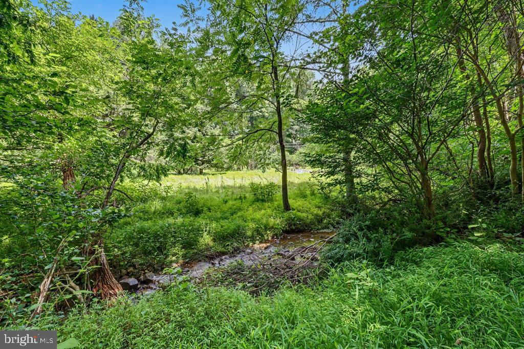 397 Angora Rd Property Photo 26