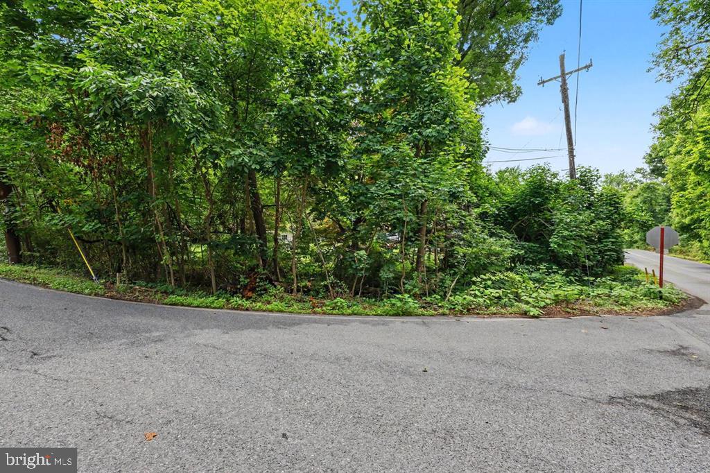 397 Angora Rd Property Photo 28