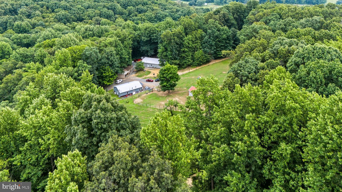 74 Turkey Rd Property Photo 59