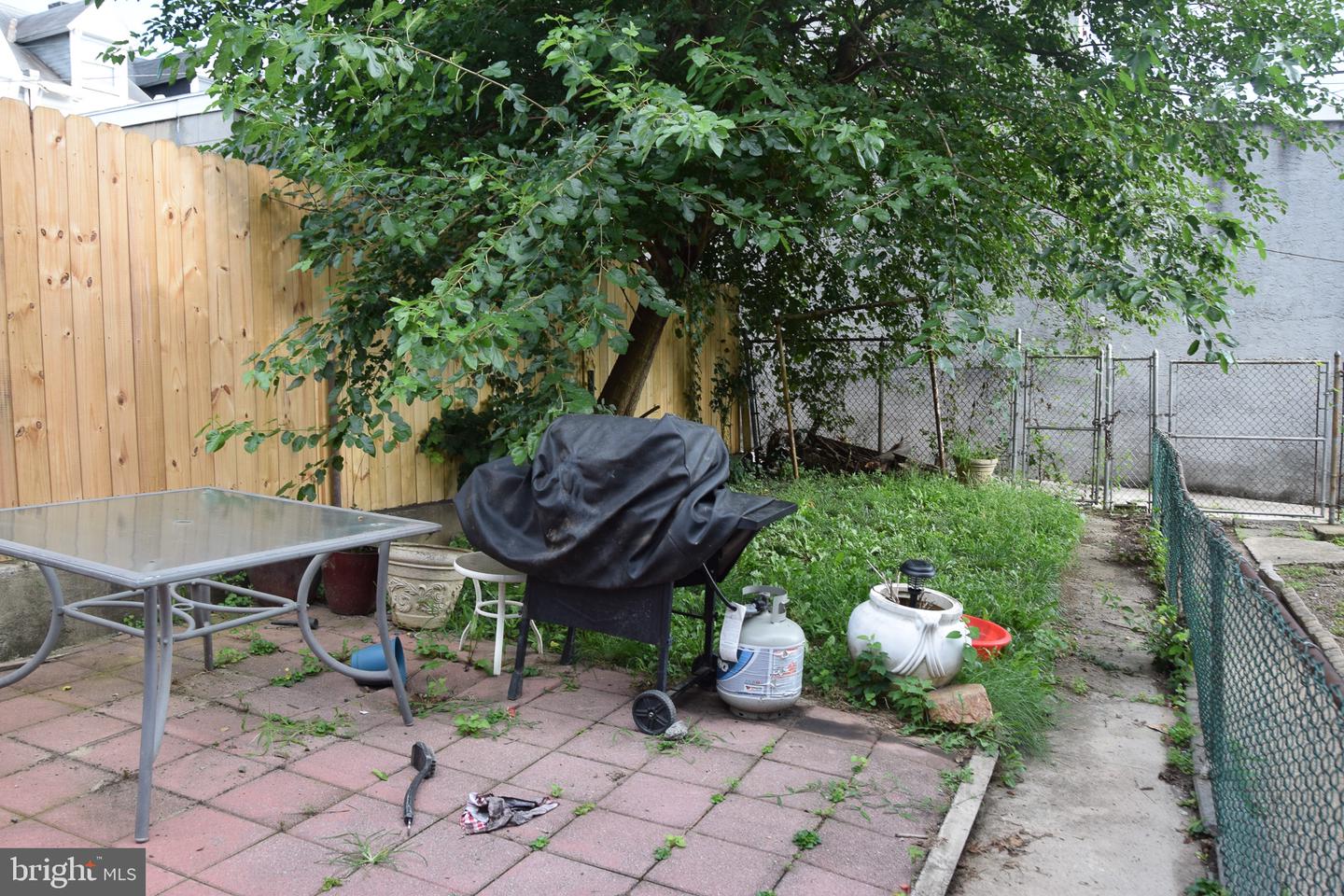 1124 Spruce St Property Photo 21