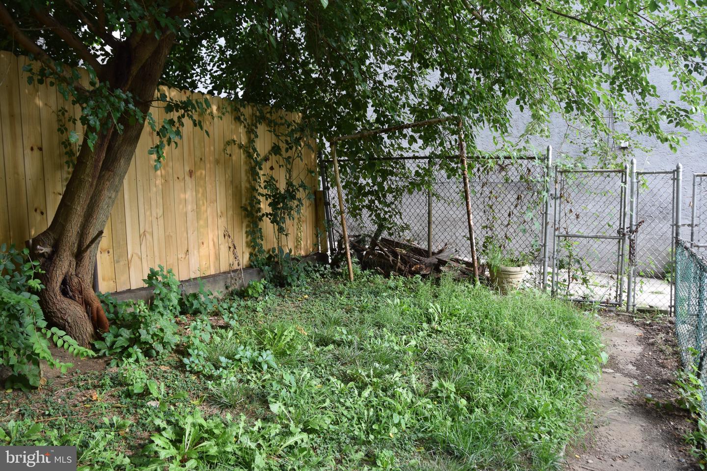 1124 Spruce St Property Photo 22