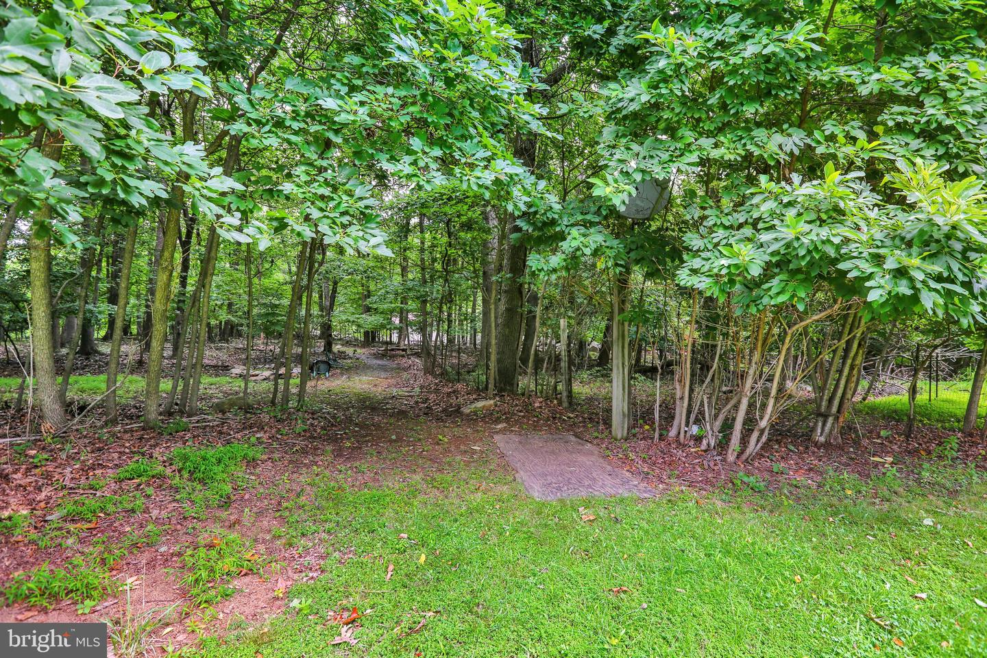 19 Woods Ln Property Photo 36