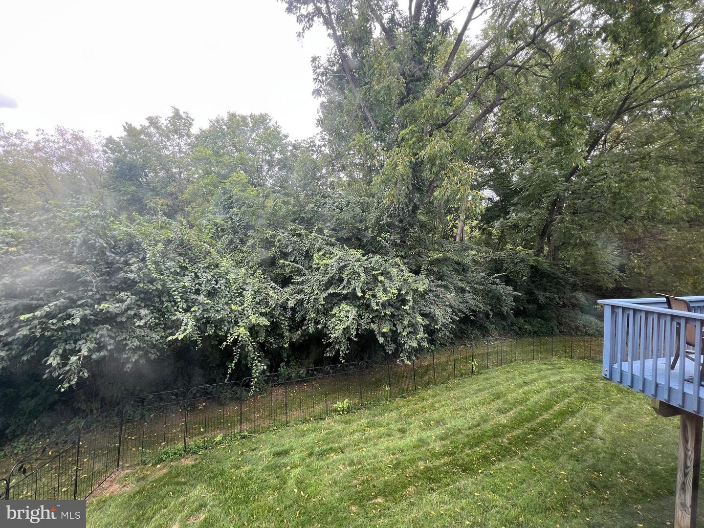 11 Tulpehocken Ct Property Photo 48