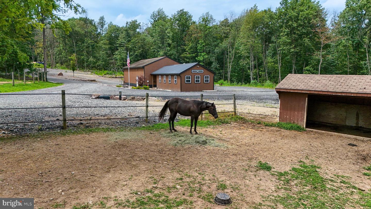 1309 Chestnut Hill Rd Property Photo 19