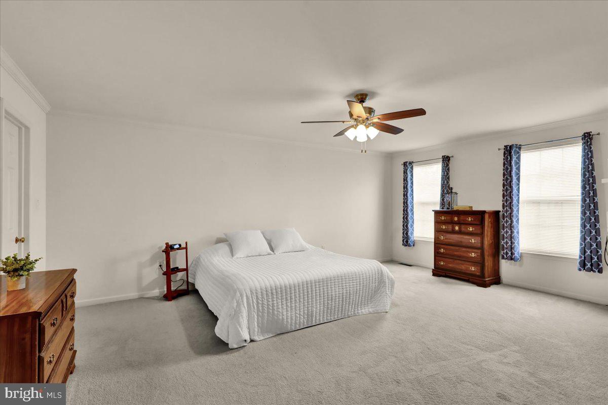 11 Fallowfield Cir Property Photo 13